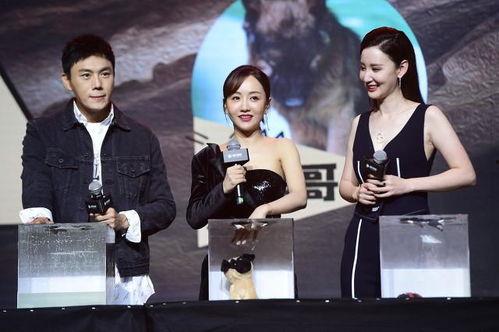 娱乐圈吃瓜爆料合集小说,揭秘幕后真相与爱恨情仇